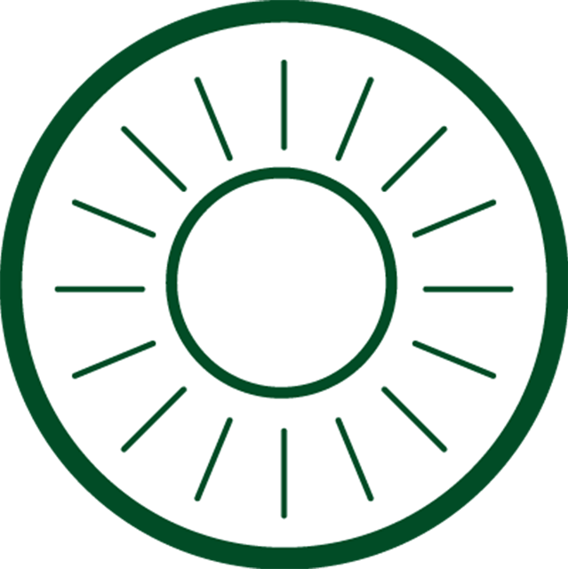 Sunshine icon in green circle