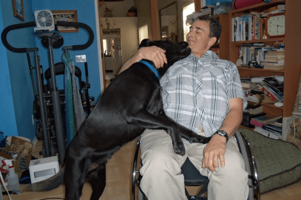 Black dog with man in wheelchair