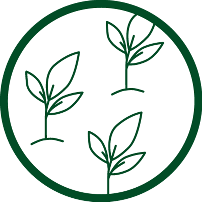 Three small plants in green circle 